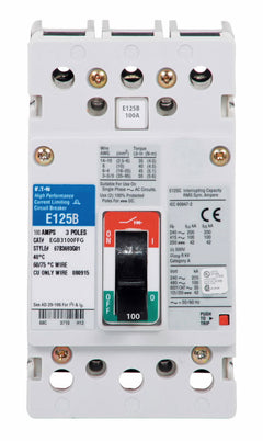 EGB3100FFG - Eaton - Molded Case Circuit Breaker